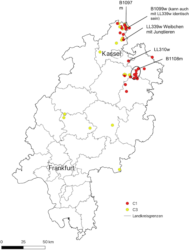 Karte hessischer Luchshinweise aus dem Zeitraum 01.05.2023 – 30.04.2024