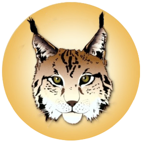 Luchs in Hessen